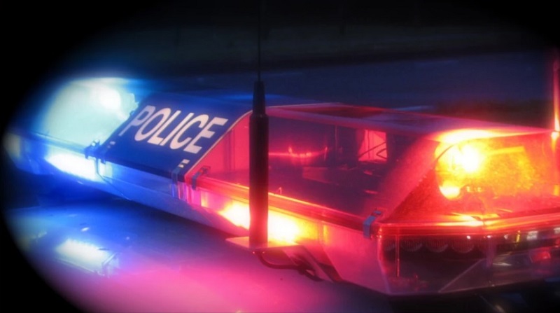 Two Rochester persons accused of accosting a woman outside a pet store