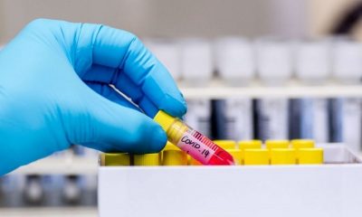 319 new COVID-19 cases reported in Monroe County