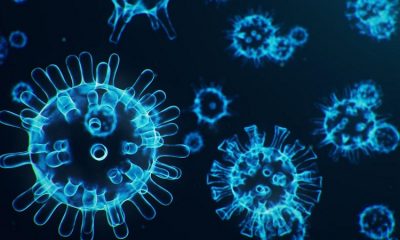 881 new COVID-19 cases reported in Monroe County
