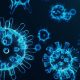 881 new COVID-19 cases reported in Monroe County