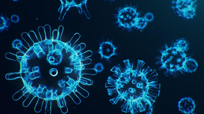 881 new COVID-19 cases reported in Monroe County 881 new COVID-19 cases reported in Monroe County