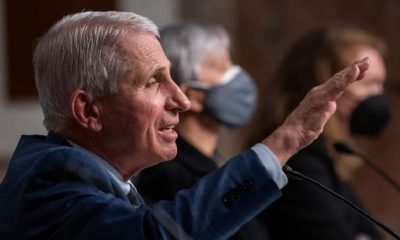 Fauci: most states will reach peak of omicron in mid-February