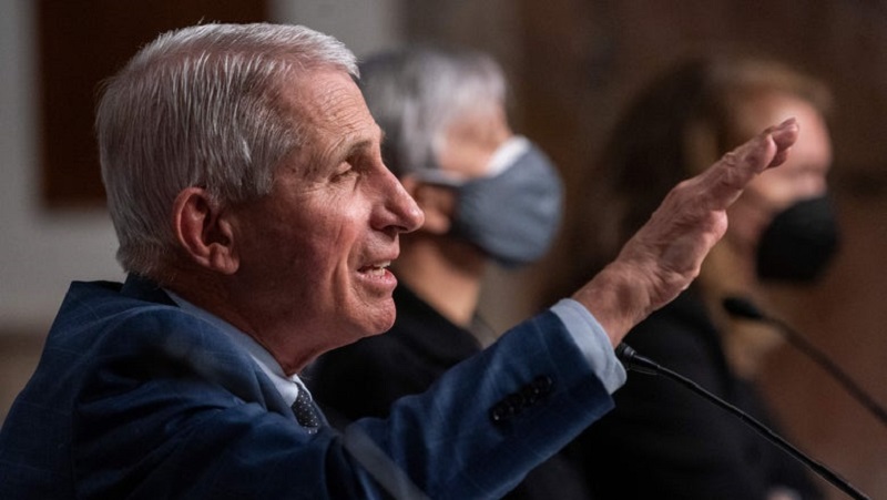 Fauci: most states will reach peak of omicron in mid-February