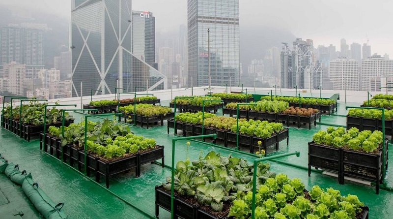 Urban Agriculture key to creating a more equitable food system Urban Agriculture key to creating a more equitable food system