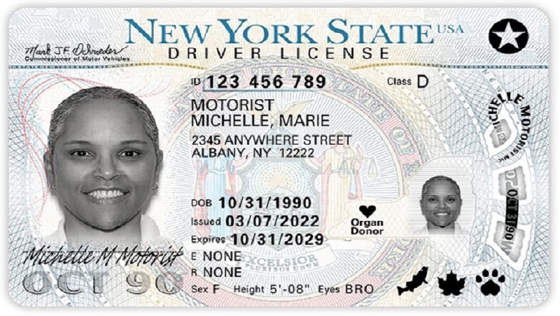 Newly-designed driver license, permit, and non-driver ID cards for New Yorkers Newly-designed driver license, permit, and non-driver ID cards for New Yorkers