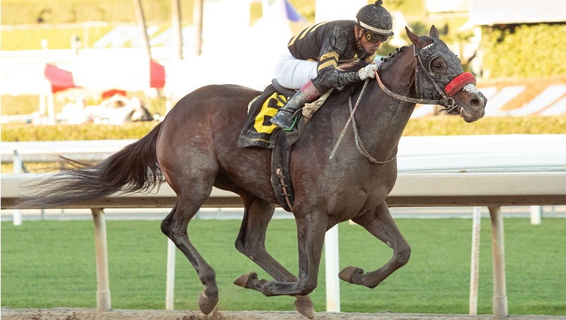 Local jockey competes in Kentucky Derby this weekend