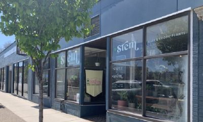 Rochester plant shop Stem relocated to a larger store