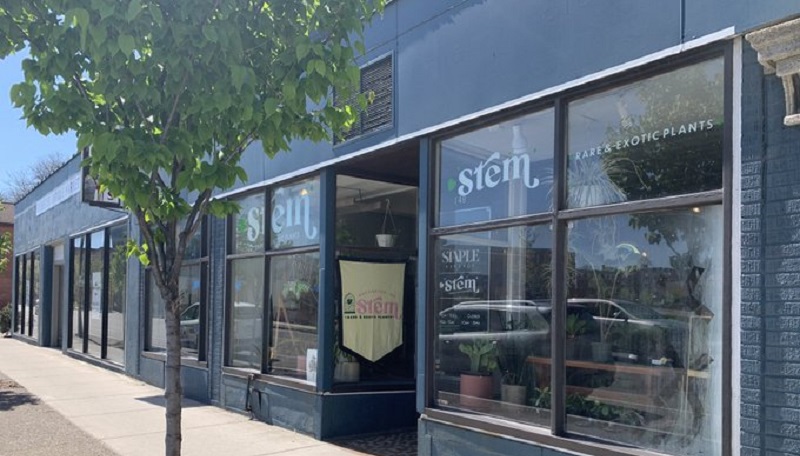 Rochester plant shop Stem relocated to a larger store