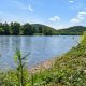 Celebrate the Chemung River event held in Elmira
