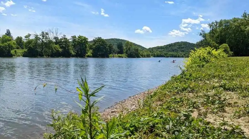 Celebrate the Chemung River event held in Elmira Celebrate the Chemung River event held in Elmira
