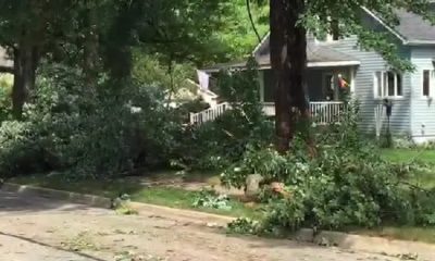 Storm leaves big mess in Livingston County