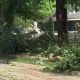 Storm leaves big mess in Livingston County