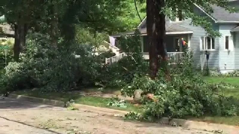 Storm leaves big mess in Livingston County Storm leaves big mess in Livingston County