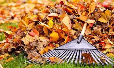 Compost facility now open in Elmira
