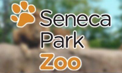 Seneca Park Zoo offering  admission for SNAP families