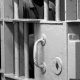3 face drug charges, 1 Rochester woman sentenced