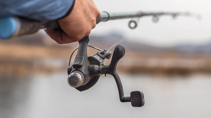 Fish for free in NYS this Saturday