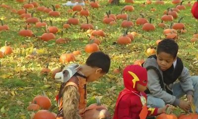 2th annual Harvest Fest held by the Ibero-American League of Rochester