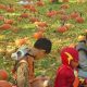 2th annual Harvest Fest held by the Ibero-American League of Rochester
