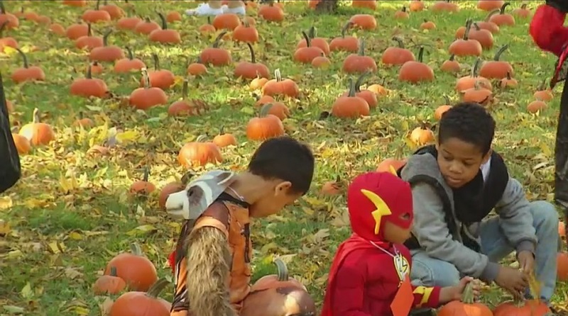 2th annual Harvest Fest held by the Ibero-American League of Rochester