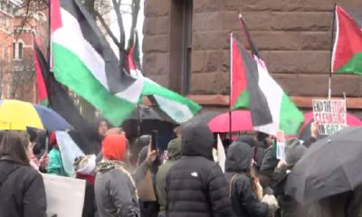 Protesters rally for Palestine; call on elected officials outside of City Hall