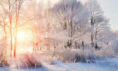 Winter is returning and is expected to stay for now