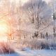 Winter is returning and is expected to stay for now