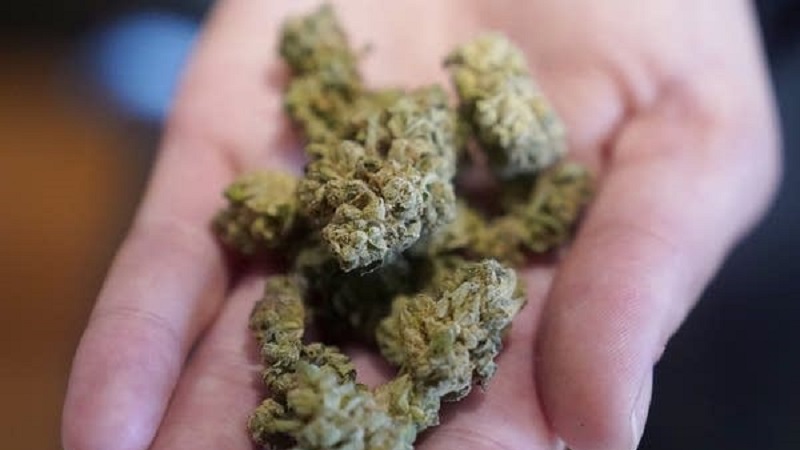 The first state-licensed cannabis shop opens in the City of Rochester The first state-licensed cannabis shop opens in the City of Rochester