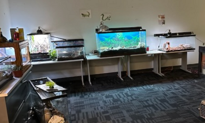 22 exotic animals left behind in a downtown Rochester building following the eviction of the tenant