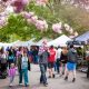 As the Lilac Festival comes to an end, thousands of people celebrate at Highland Park in Rochester