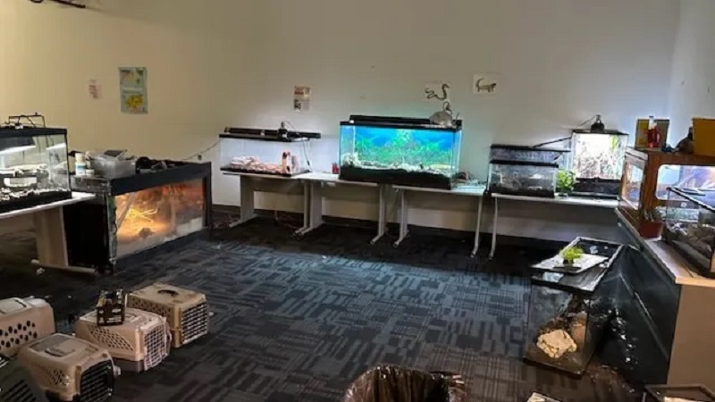 Owner of abandoned pet rescue arrested after exotic animals were rescued