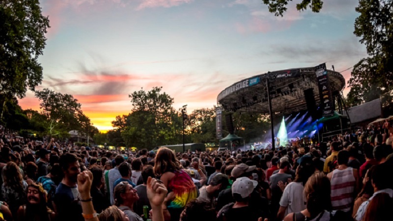 The state of New York is planning to take action this summer to combat the use of fake identification at concert venues