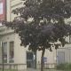 Local organizations band together as important programs are threatened by United Way budget cuts