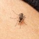 Person tests positive for West Nile Virus in Wayne County