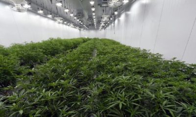 The owner of a cannabis shop in Canandaigua gets hit with a .5 million judgment by the NY attorney general