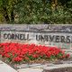 Following an accusation of sexual assault to the police, a fraternity at Cornell University was suspended