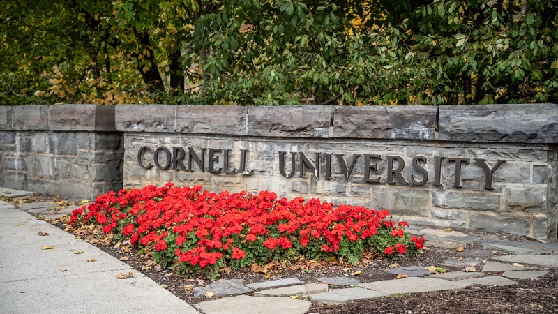 Following an accusation of sexual assault to the police, a fraternity at Cornell University was suspended