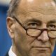 As the party drops back into the minority, Schumer will continue to lead Senate Democrats