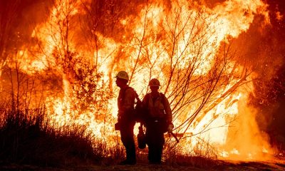 While teams in LA enhance containment, New York is striving to increase wildfire readiness