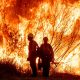 While teams in LA enhance containment, New York is striving to increase wildfire readiness