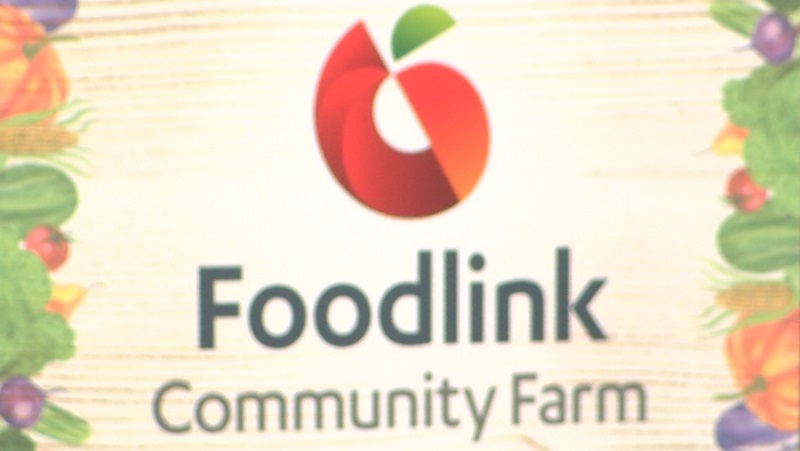 Foodlink says it will modernize its community farm and headquarters with  million