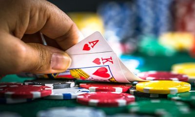 A casino fundraiser will be held in Elmira by the Stray Cat TNR group