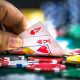 A casino fundraiser will be held in Elmira by the Stray Cat TNR group
