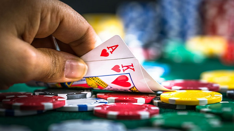 A casino fundraiser will be held in Elmira by the Stray Cat TNR group