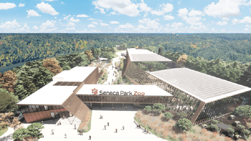 The Seneca Park Zoo project’s design expenses are under financial examination The Seneca Park Zoo project’s design expenses are under financial examination