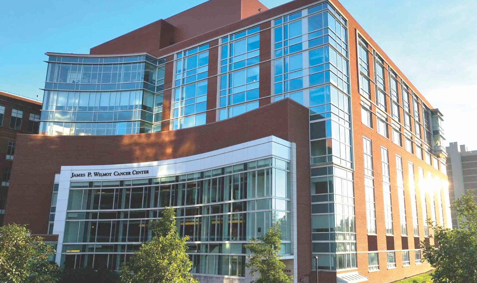 Wilmot Cancer Institute’s new NCI status marks a pivotal moment in cancer research and patient care, promising to bring groundbreaking advances and better outcomes to a region battling high cancer rates